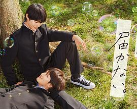 长春网站优化代理批发价